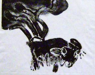 Serie " Animales marcados"